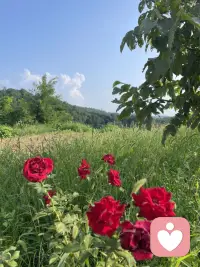 一个小小的行为，慢慢会形成我们的习惯，变成我们生活的一部分，潜移默化影响我们的生活，所以尽量养成良好的习惯。
