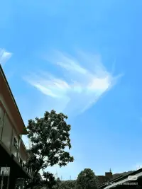 大運之前 必經情劫
痛徹心扉是為了讓你覺醒 經歷情劫 說明你沒過情關  未過情關 一切情感對你都是消耗
過情關的重點 是破情執 情執不是對愛的執念 而是對被愛的執念 
執著于愛 不會痛苦 因為愛是給予 是慈悲 
執著于被愛才會痛苦 因為情是欲望 是貪婪
愛是正面的 無條件的 是你本身就很好 你的美好溢出來 能夠惠及身邊的人 
內在匱乏 才會貪婪的需要另一個人為自己提供力量  卻忘了 自己本就有無限力量 
你是天地的孩子 你的起心動念 都在向宇宙發射信號 你發射什么信號 宇宙就會給你什么回饋 
你的信號應該是 我很美好 請加入我 而不是我很匱乏 請救救我 
不再等待愛情 只是去愛  不再期待成功 只是去做 你來了我心生歡喜 你不來我也住在愛里
無所求 必滿載而歸