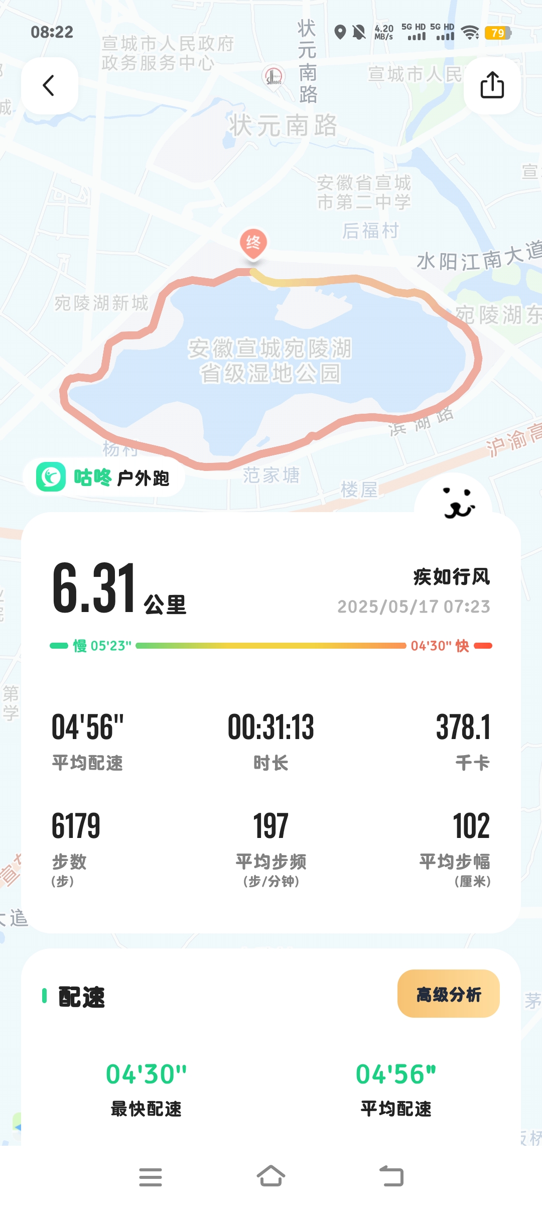 破茧醒鹰的回答图片