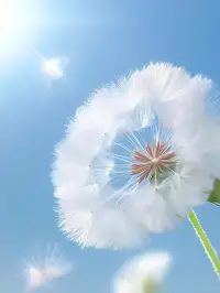 愿余生鲜衣怒马，有人陪你看遍烈焰繁花！配图