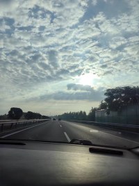 生命的美，不在它的绚烂，而在它的平和配图