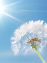 🎐人生简简单单就好
🎐生命健健康康就好
🎐生活快快乐乐就好配图