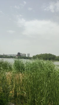 很多人可以走进你的生活，很少人可以走进你的生命配图