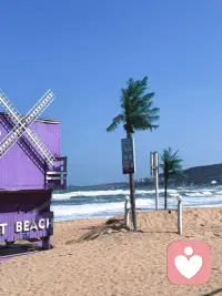 心灵的归属配图