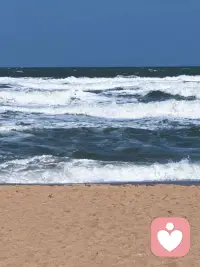 心灵的归属配图