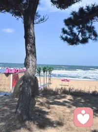 心灵的归属配图