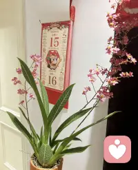 看到商机，是对需求与金钱的敏锐；
看到成长契机，是对自我与内在力量的觉醒。

前者让你活得体面，
后者让你活得深刻。
能同时看见两者，
才是真正清醒又有力量的人生。配图