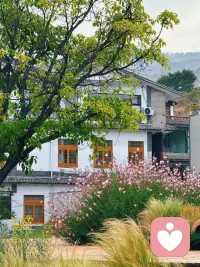 生机盎然配图