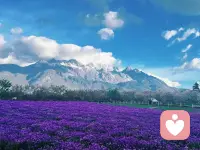 给“错误”定一个可承受上限

不管是钱还是情绪，都设一个止损线：

 • 经济：
这件事最多亏多少钱，我认了，超过就停。

 • 心力：
这件事最多让我难受多久，超过就切断。

有上限，才敢容错。
没有上限的容错，就是自我毁灭。配图