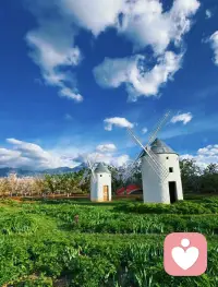 给“错误”定一个可承受上限

不管是钱还是情绪，都设一个止损线：

 • 经济：
这件事最多亏多少钱，我认了，超过就停。

 • 心力：
这件事最多让我难受多久，超过就切断。

有上限，才敢容错。
没有上限的容错，就是自我毁灭。配图