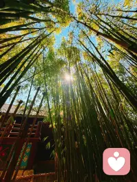 珍惜自己的小确幸，不要被那些包装的人设迷惑，把他们的故事当成搞笑短剧看吧配图