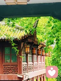 生活还要继续.！配图