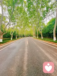 人性本来就是这样：多数人可以接受陌生人暴富，却受不了身边人比自己过得好。

人情世故里，很多人的真心是有前提的：
你过得好可以，
既要能分到他们好处，又不能显得比他们耀眼、伤他们自尊。

你本就不是圣人，没必要委屈自己去讨好所有人，
也不用因为别人的嫉妒和狭隘怀疑自己。
好好爱自己，悄悄优秀，慢慢发光，
你的好日子，从来不需要别人允许。配图
