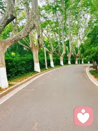 人性本来就是这样：多数人可以接受陌生人暴富，却受不了身边人比自己过得好。

人情世故里，很多人的真心是有前提的：
你过得好可以，
既要能分到他们好处，又不能显得比他们耀眼、伤他们自尊。

你本就不是圣人，没必要委屈自己去讨好所有人，
也不用因为别人的嫉妒和狭隘怀疑自己。
好好爱自己，悄悄优秀，慢慢发光，
你的好日子，从来不需要别人允许。配图