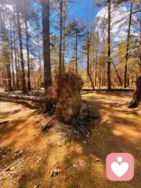开心很重要，不要纠结那些消耗的人和事儿配图