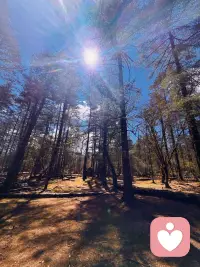 开心很重要，不要纠结那些消耗的人和事儿配图