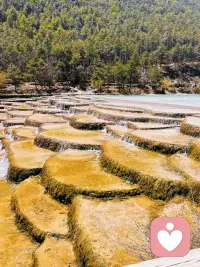 愿你开心健康，身心自由配图