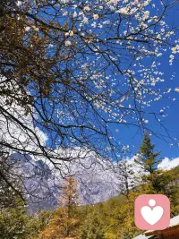 愿你开心健康，身心自由配图