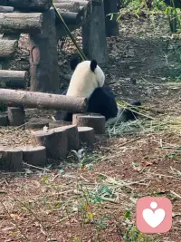 生活不必太用力，看淡得失，随心而行。
不用迎合谁，也不用为难自己，烦恼看淡，心事放下。
慢一点，松弛一点，享受当下的风和自由。
日子简单就好，心情轻松就够，余生漫漫，取悦自己才是终身浪漫。
往后只愿，自在随心，平安喜乐，无忧无虑，活得温柔又洒脱。配图
