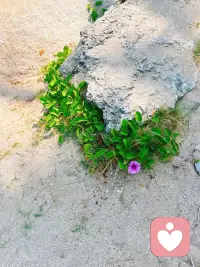早上好🌞配图