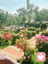一路走走停停，不是在看风景，就是在思考下一站去哪摆烂。配图