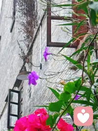 漫步三街两巷，青砖黛瓦藏尽邕城烟火，一砖一瓦都是老南宁的温柔旧时光。配图