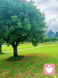 抓紧建设自己配图