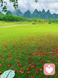 抓健康，抓经济，抓爱好，抓生活，抓旅游配图