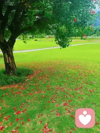 抓健康，抓经济，抓爱好，抓生活，抓旅游配图