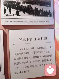 不完美的遗憾：他们没有属于自己的孩子配图