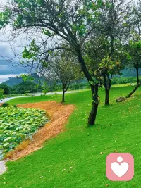 别人的话随便听一听，自己做决定，别人也不是最高修订本的教材配图