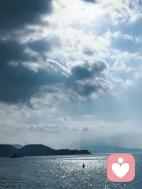 阳光正好，万事顺心，愿今日温柔又顺遂✨配图