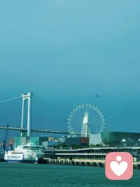 一半期待相逢，一半偏爱独行。配图