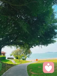 少谈恋爱少扯淡配图