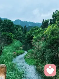 心静自然凉