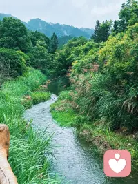 心静自然凉