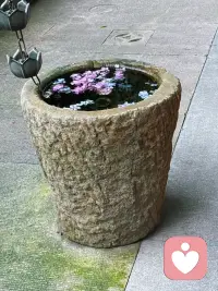 梦见