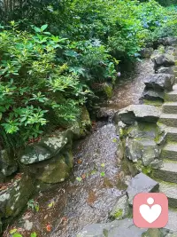 人自带自愈本能，山水草木皆可疗愈身心。无为不是躺平，而是不强行对抗情绪、不执着强求，顺随生命节奏，放下苛责与控制，内心自会慢慢平和安定。