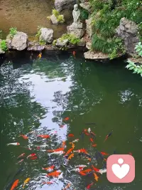 简单点