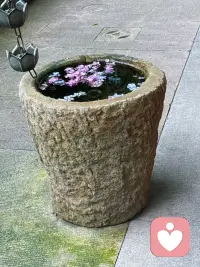 自恋型人格障碍最核心的特征，是共情能力的缺损、难以换位思考，以及根深蒂固的自我中心思维。这类人群内心构建了以自我为绝对中心的认知体系，习惯把所有人和事当作满足自身需求的工具，很难真正感知他人的情绪与难处。

他们并非完全看不见别人的痛苦，而是习惯性漠视、弱化他人感受，换位思考对他们而言是一种本能排斥。遇事第一反应永远是权衡利弊：这件事对我有没有好处，会不会损害我的面子与利益，很少站在对方角度考量对错。

极度的自我优越感让他们渴望被赞美、被追捧，无法接受批评与反驳，一旦需求得不到满足，就容易产生抵触、指责甚至打压他人的行为。在人际关系里，他们擅长索取情绪价值，却很难付出体谅与包容，常常忽略他人的委屈与付出。

长久的自我中心会让他们陷入认知盲区，总觉得问题都出在别人身上，很难自我反思，也正因共情缺失，他们很难建立平等长久的亲密关系，相处过程极易给身边人带来精神内耗。配图
