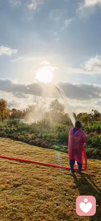 永远不要在意那些生长在头脑中的杂草，对你来说，完全忽略它才是最好的方法。你应该把所有精力都放到种植、浇灌和照料那些欣欣向荣的美丽花朵之上。

          ——《做情绪的主人》配图