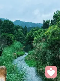 常言道心静自然凉，身体的燥热可借清风驱散，内心的浮躁却最难平复。人之所以焦虑烦忧，大多是杂念缠身、执念过多，思绪纷乱不休，心底便常年燥热不安。

世间纷扰皆是外物，心神安定才是根本。学会沉淀情绪，看淡得失纠结，放下无谓揣测，让浮躁慢慢归于平和。内心安稳从容，纵使外界喧嚣热浪，心底亦自有清风常驻，万事皆清宁。配图