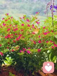 真正的自愈，向来润物无声。配图