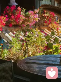 养花的人，是温柔的生命摆渡者。
在方寸泥土间播种期许，日复一日浇水、修枝、静待花开，耐心包容草木的枯荣，懂得等候生命慢慢生长。
他们善待一花一叶，心怀柔软，懂得与时光相处。眼里有绿意，心中有温柔，在照料花草的过程里，也安放了自己的情绪，读懂了生命从容的意义。配图