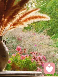 养花的人，是温柔的生命摆渡者。
在方寸泥土间播种期许，日复一日浇水、修枝、静待花开，耐心包容草木的枯荣，懂得等候生命慢慢生长。
他们善待一花一叶，心怀柔软，懂得与时光相处。眼里有绿意，心中有温柔，在照料花草的过程里，也安放了自己的情绪，读懂了生命从容的意义。配图