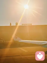 万物皆有裂痕，那是光照进来的地方。配图