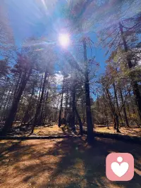 人如同四季草木，本就需要周期性休整、排空杂念。
清理积压的负面情绪、纠缠的人际内耗、放不下的过往执念，便是一场内在的能量净化。配图