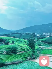 练瑜伽时，不妨试着闭上眼睛。这不是忽略老师的引导，而是主动关掉外界的“评判滤镜”——不用盯着镜子里的体式是否和示范一致，不用在意身边人的动作是否更舒展。当视觉的干扰褪去，身体的感受会变得格外清晰：哪个角度的拉伸让呼吸更顺畅，哪个力度的支撑让肌肉更放松，这份“舒服”，就是此刻最适合自己的“标准”。其实生活也是一场瑜伽，少看别人的“体式”，多听自己的“呼吸”，才能在每一个当下，找到属于自己的平衡与节奏。配图