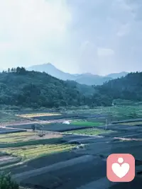 练瑜伽时，不妨试着闭上眼睛。这不是忽略老师的引导，而是主动关掉外界的“评判滤镜”——不用盯着镜子里的体式是否和示范一致，不用在意身边人的动作是否更舒展。当视觉的干扰褪去，身体的感受会变得格外清晰：哪个角度的拉伸让呼吸更顺畅，哪个力度的支撑让肌肉更放松，这份“舒服”，就是此刻最适合自己的“标准”。其实生活也是一场瑜伽，少看别人的“体式”，多听自己的“呼吸”，才能在每一个当下，找到属于自己的平衡与节奏。配图