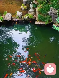 无论是和外界的他人比较，还是和内心的“理想自己”较劲，本质上都是把自己当成了一把冰冷的尺子，用来丈量“够不够好”。可当我们放下这把尺子，去和身体的疲惫、呼吸的节奏、心底的小确幸这些真实感受相遇，去拥抱那个会累、会慌、会偷偷开心的自己时，才终于把自己当一个有温度的人来疼。别总做丈量自己的尺子了，先和真实的自己好好拥抱，这才是爱自己的开始啊。配图